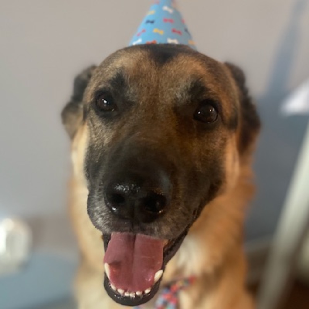 Meet your Posher, Crystal